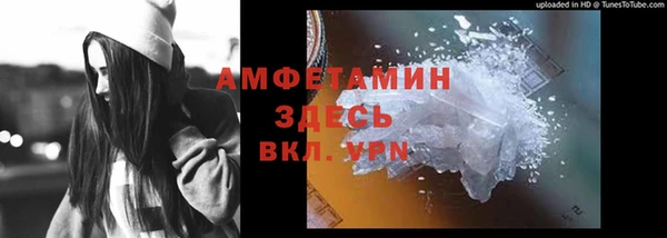 ешки Алексин