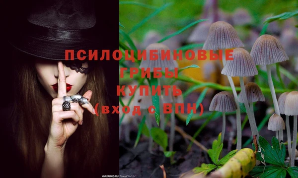ешки Алексин