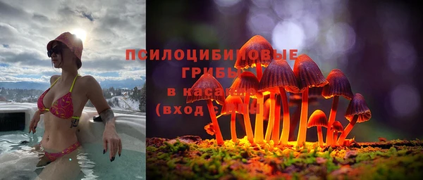 ALPHA PVP Алексеевка