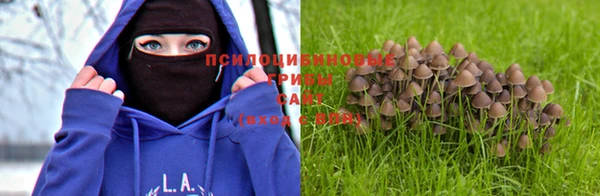 ALPHA PVP Алексеевка
