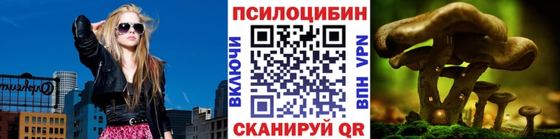 Купить где  Буй  Галлюциногенные грибы мицелий 